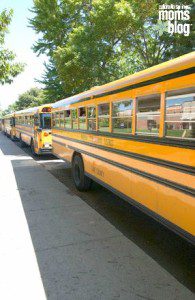 school buses in a line