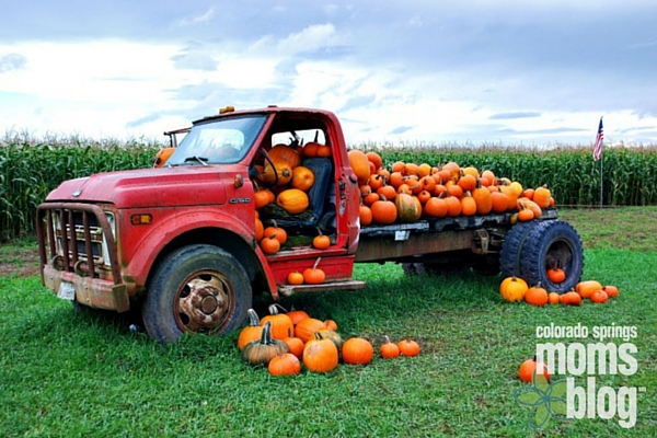 tammy pumpkin autumn dates