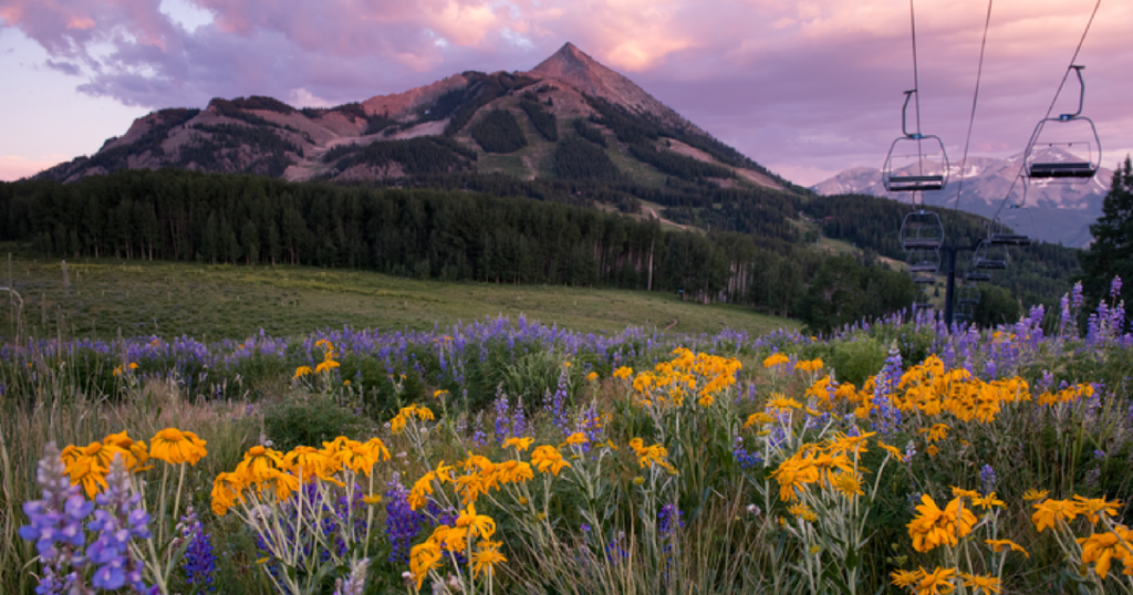 Crested Butte in summer, awash in wildflowers. 